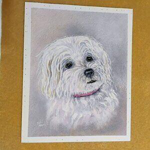 Dog Watercolor Painting by Sybil Carlyle, White Maltese Terrier, 8x10 Textured